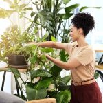 Woman at work tending to several indoor plants in a brightly lit office room